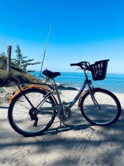 L'Ile à vélo - Location de vélos/Vente/Réparation
