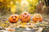 Citrouilles d'Halloween