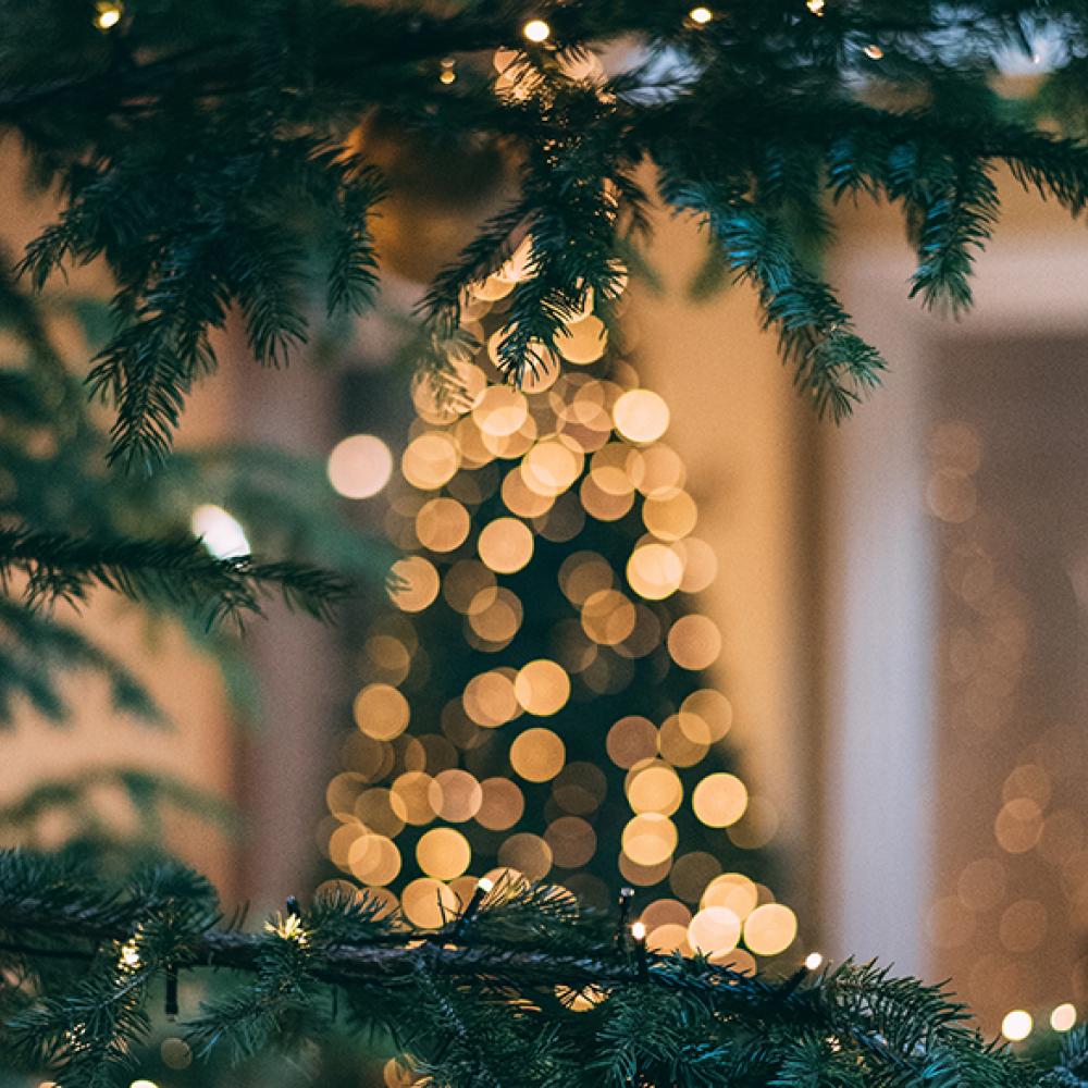 Noël sur l'île de Noirmoutier Noël sur l'île de Noirmoutier