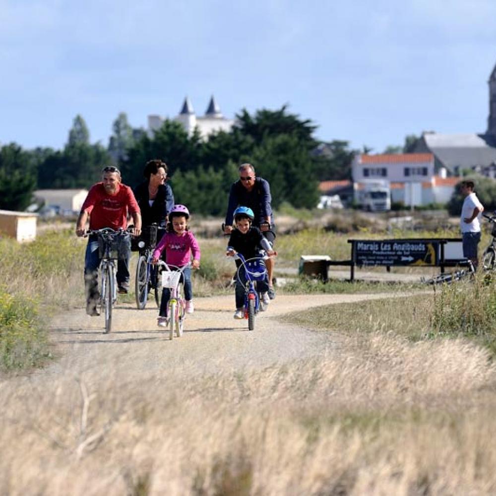 Randonnée vélo dans les marais de l'Épine © JS Evrard Randonnée vélo dans les marais de l'Épine © JS Evrard