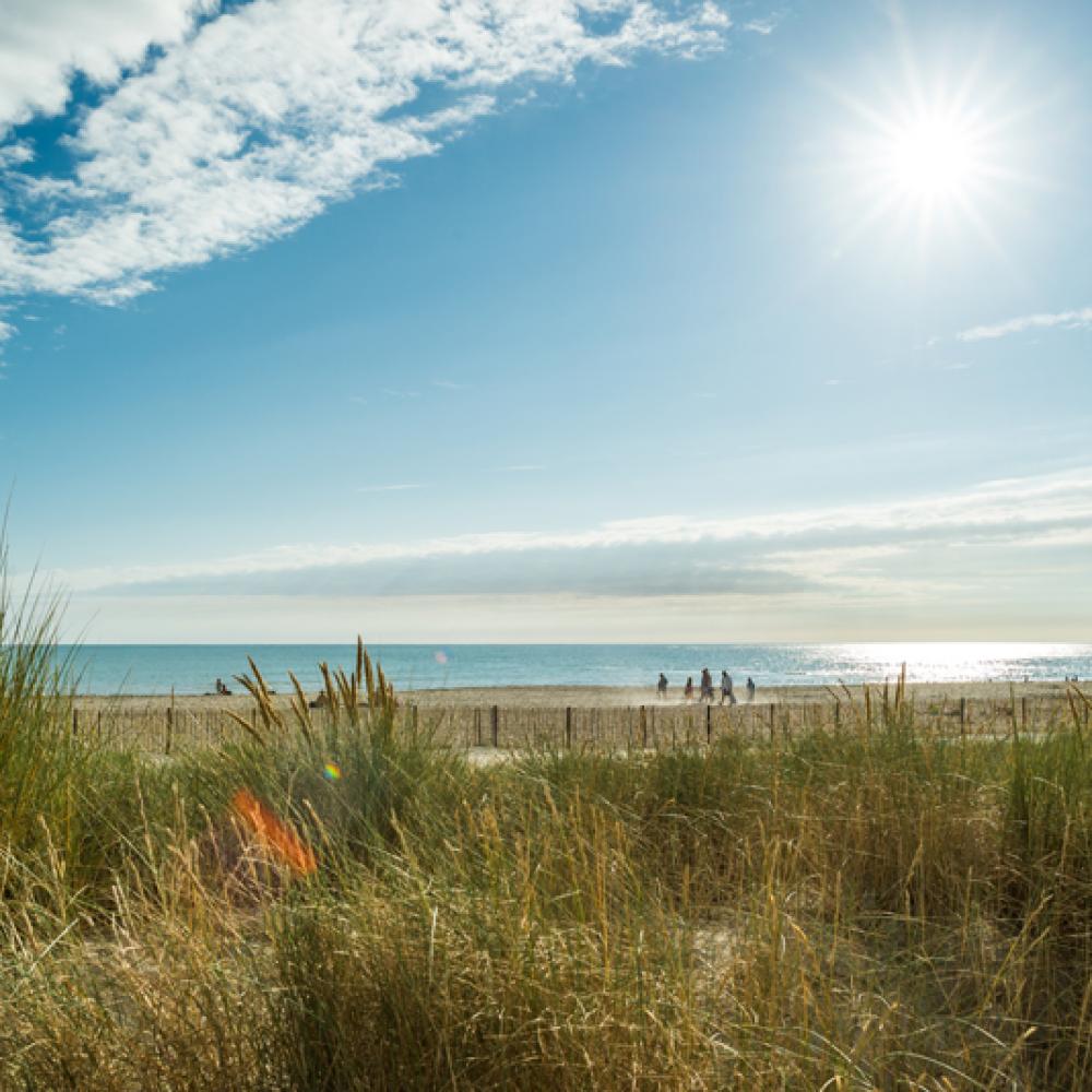Plage de la Guérinière - Joncheray Plage de la Guérinière - Joncheray