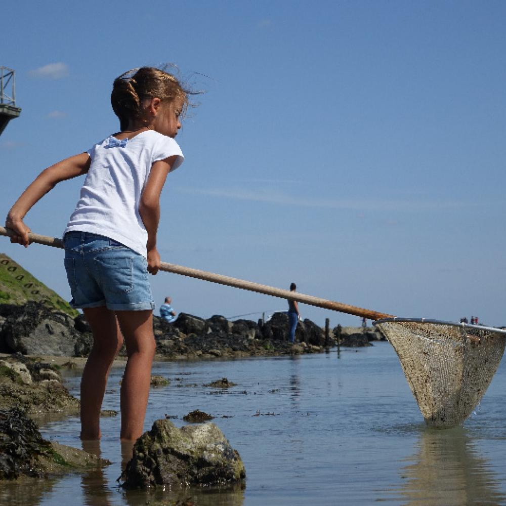 Pêche à pied sur le Gois - FDSF Pêche à pied sur le Gois - FDSF