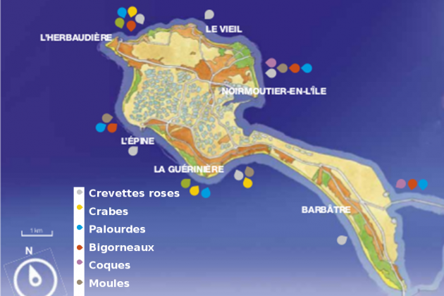 Carte zones de pêche à pied Carte zones de pêche à pied