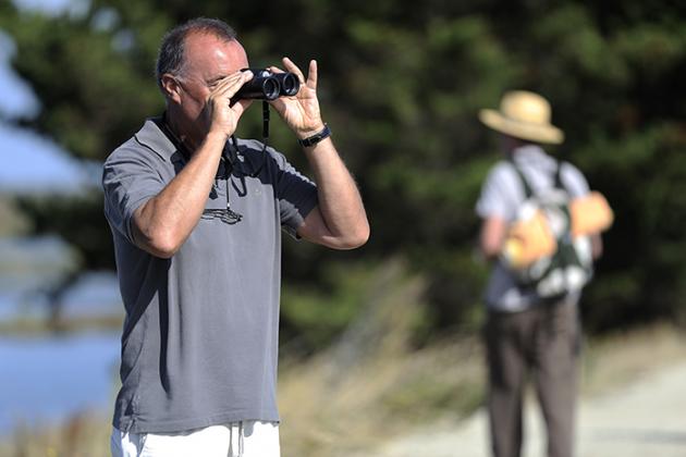 Observation ornithologique - Jean-Sébastien Evrard Observation ornithologique - Jean-Sébastien Evrard