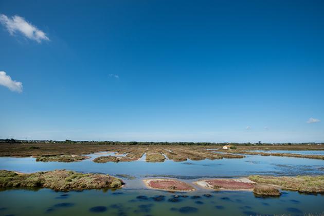 Le polder de Sébastopol - Jean-Sébastien Evrard Le polder de Sébastopol - Jean-Sébastien Evrard