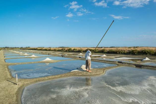 Les Marais Salants De L Ile De Noirmoutier