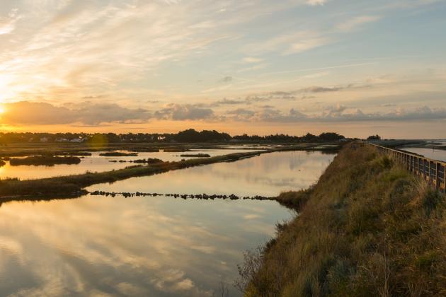 La réserve naturelle de Müllembourg - Joncheray La réserve naturelle de Müllembourg - Joncheray