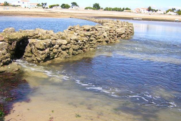 Maison des Écluses à poissons et pêches traditionnelles Maison des Écluses à poissons et pêches traditionnelles