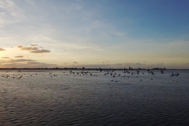 L'envol au dessus du Passage du Gois L'envol au dessus du Passage du Gois