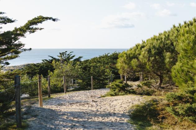 ©Trendz-Bois des Eloux La Guérinière
