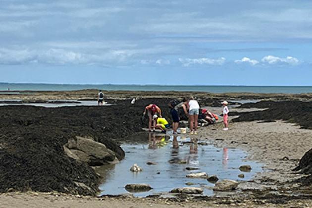 Sortie pêche à pied ©Marie Perray Sortie pêche à pied ©Marie Perray
