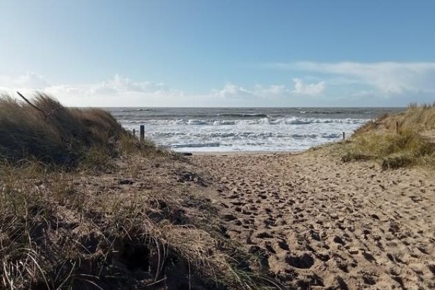Entrée plage et dunes île de Noirmoutier - Marie Grué