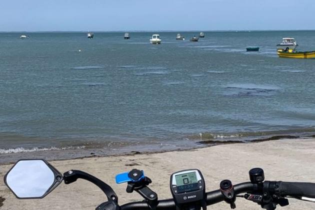 Balades à vélo guidée terroir - port du Bonhomme- Cépages et confidences