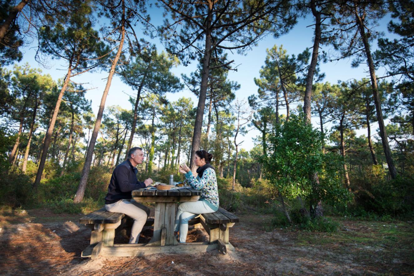 Pique-niquer dans le Bois des Eloux - Jean-Sébastien Evrard Pique-niquer dans le Bois des Eloux - Jean-Sébastien Evrard