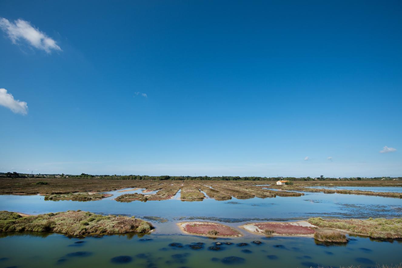 Le polder de Sébastopol - Jean-Sébastien Evrard Le polder de Sébastopol - Jean-Sébastien Evrard