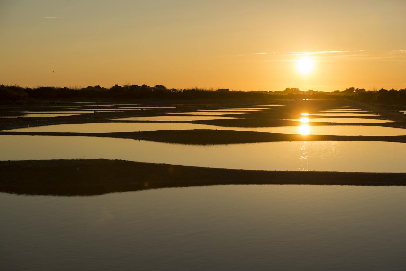 Marais salés - île de Noirmoutier - Joncheray Marais salés - île de Noirmoutier - Joncheray