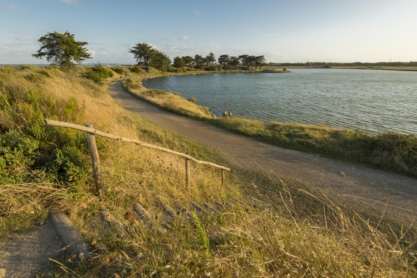 Polder de Sébastopol - Joncheray Polder de Sébastopol - Joncheray