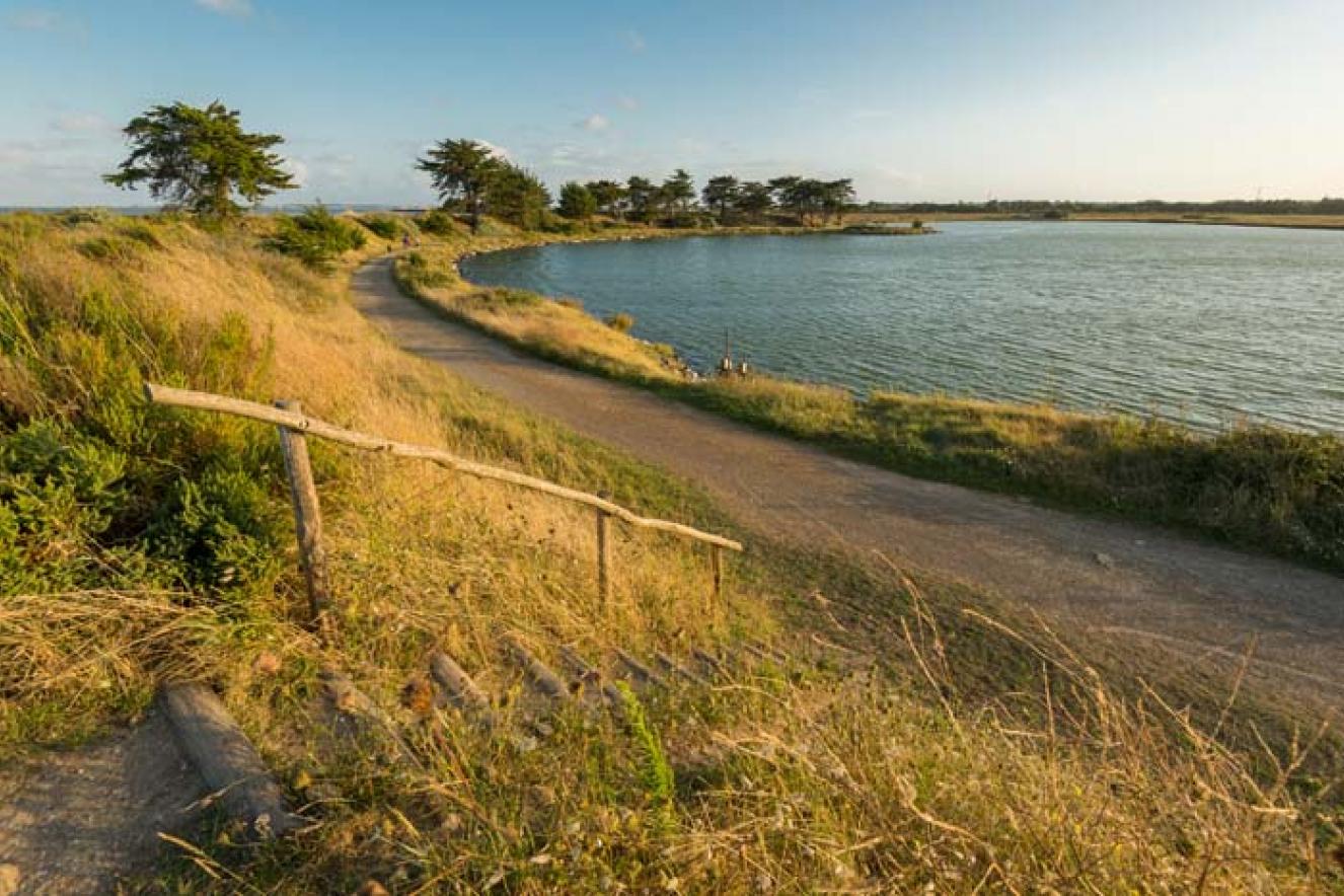 Le polder de Sébastopol - Joncheray Le polder de Sébastopol - Joncheray