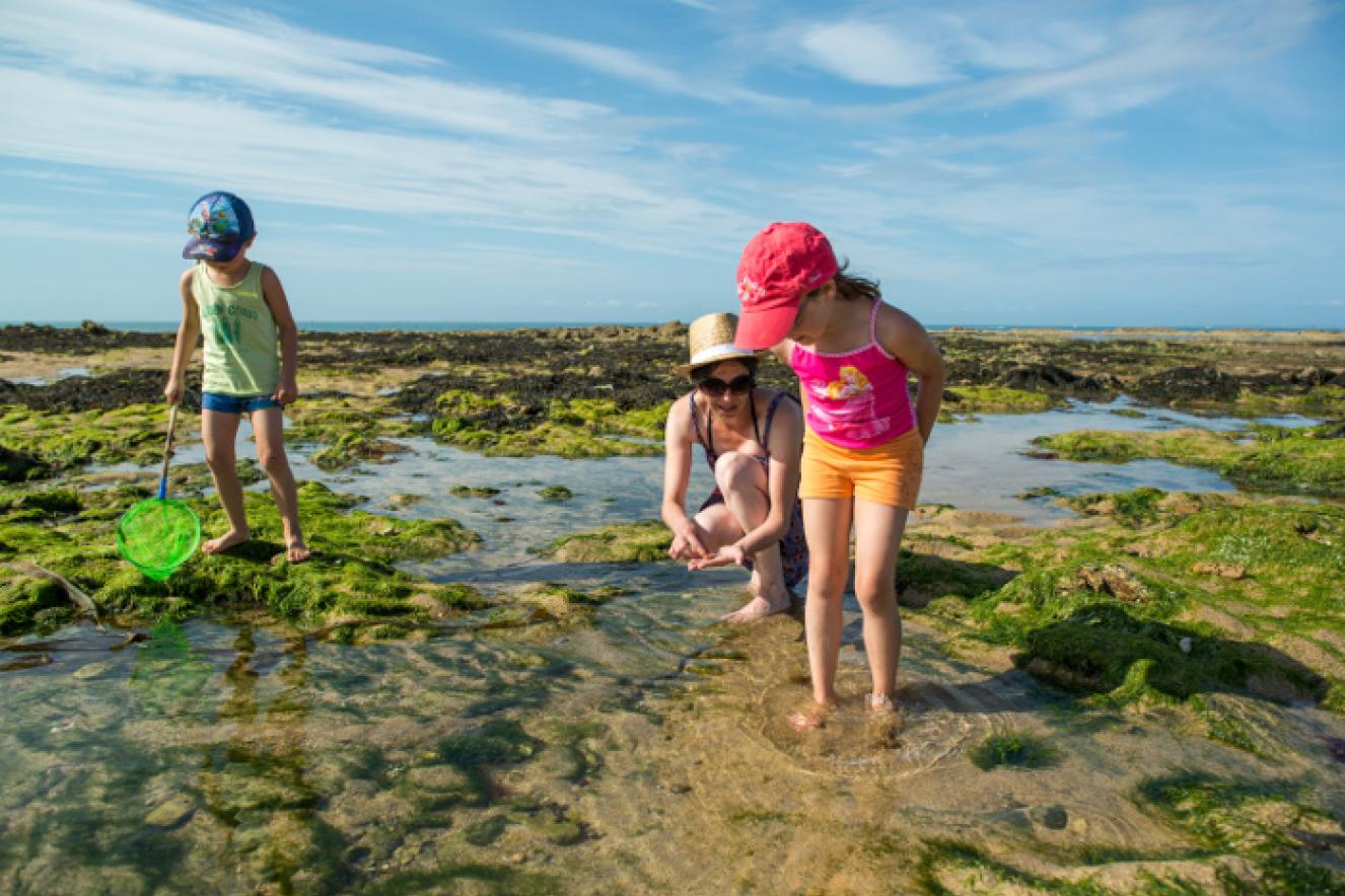 Pêche à pied en famille - Joncheray Pêche à pied en famille - Joncheray