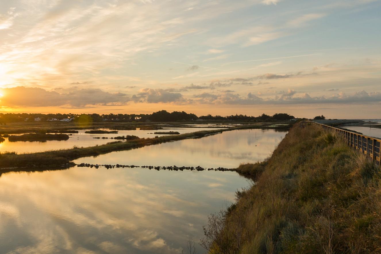 La réserve naturelle de Müllembourg - Joncheray La réserve naturelle de Müllembourg - Joncheray