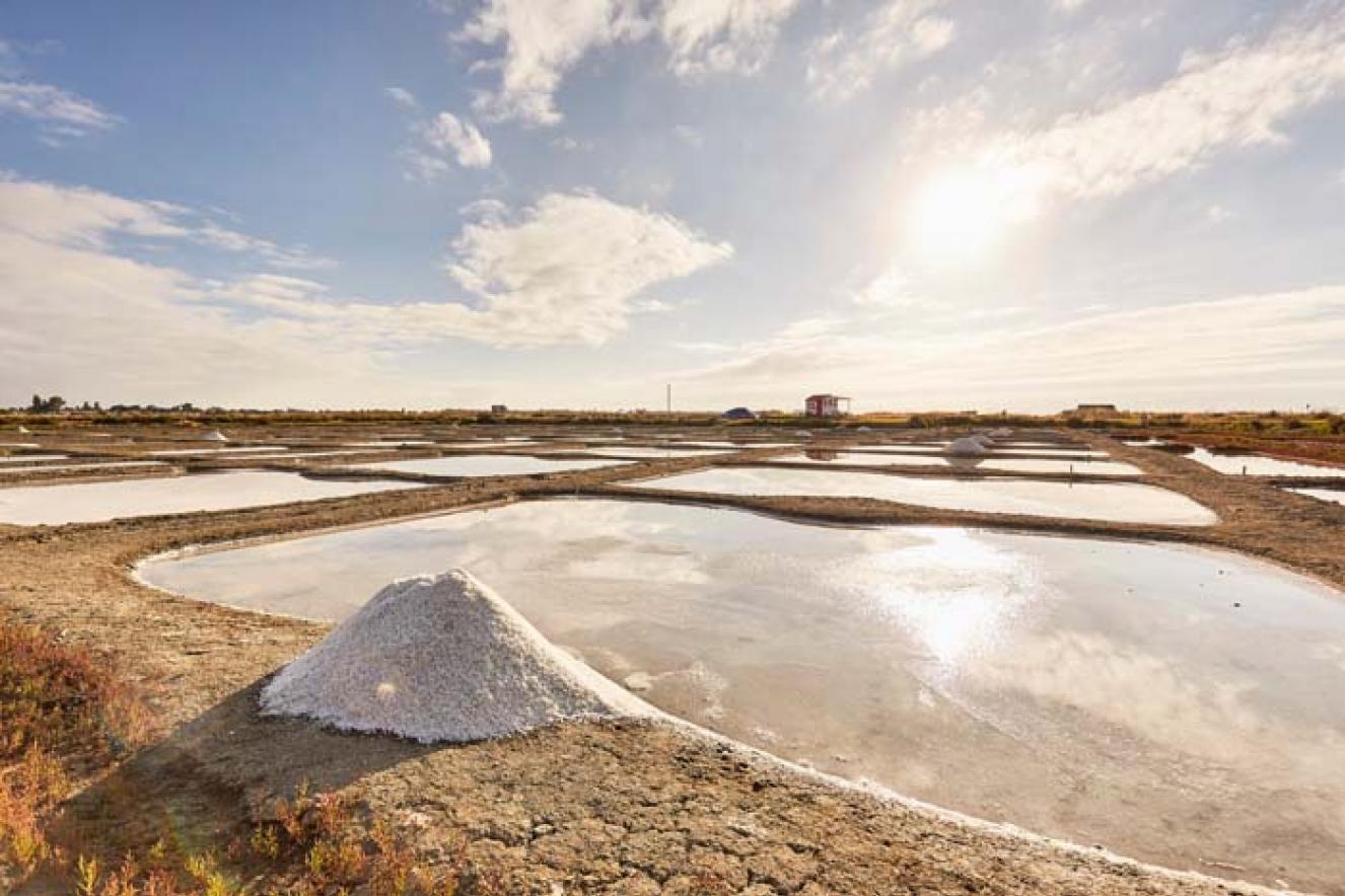 Les marais salants - île de Noirmoutier - Alexandre Lamoureux Les marais salants - île de Noirmoutier - Alexandre Lamoureux