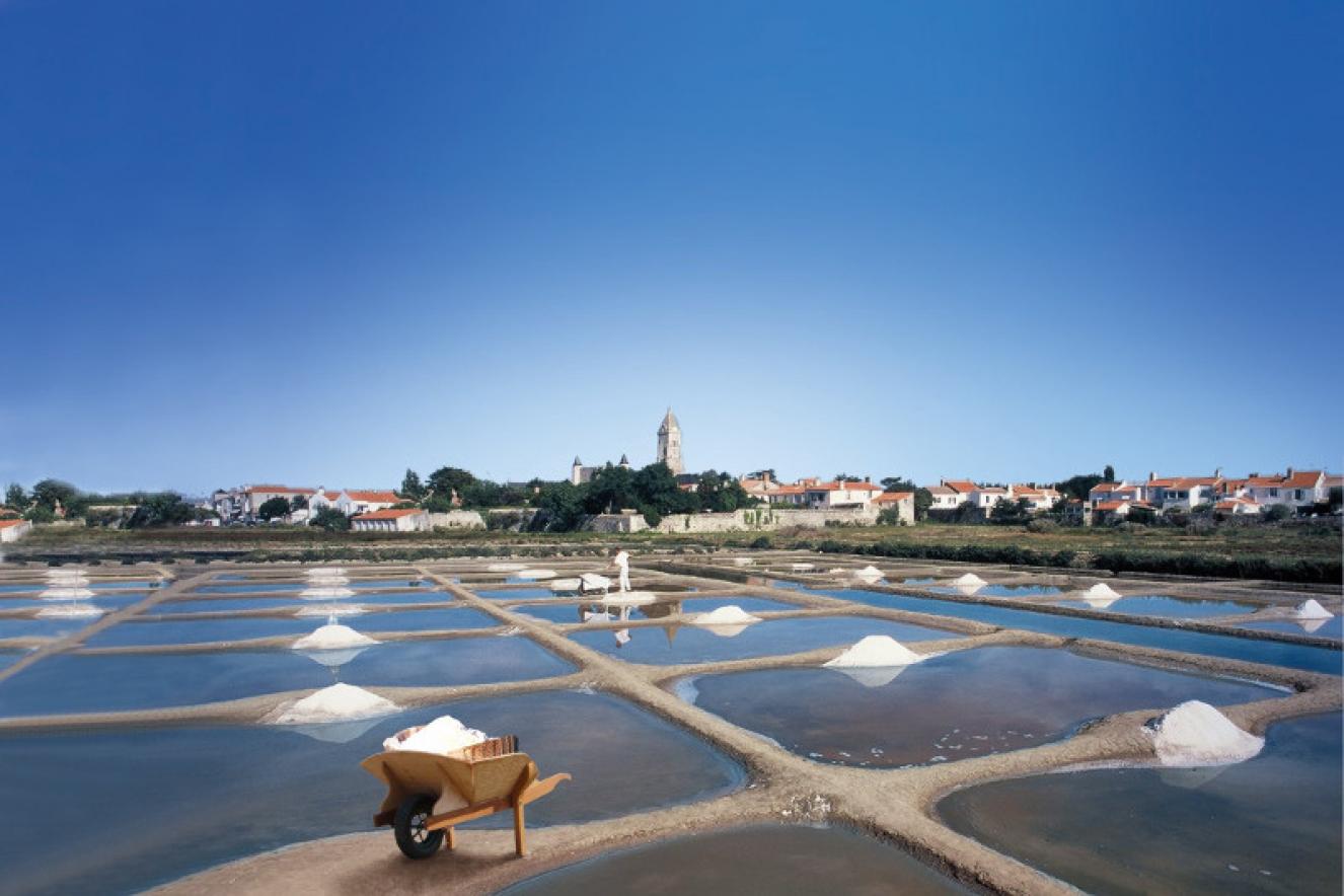 Sel de Noirmoutier Sel de Noirmoutier
