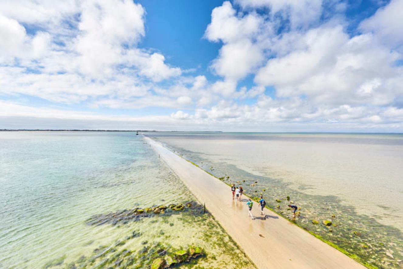 Visiter l'île en 1 journée - Le Gois © Alamoureux Visiter l'île en 1 journée - Le Gois © Alamoureux