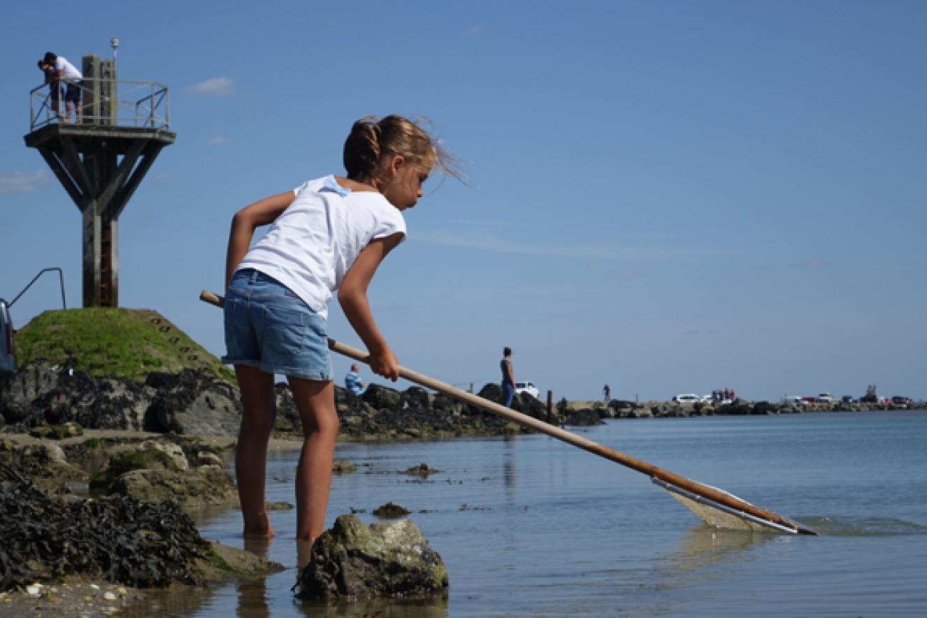 Partie de pêche à pied sur le Gois © FDSF Partie de pêche à pied sur le Gois © FDSF