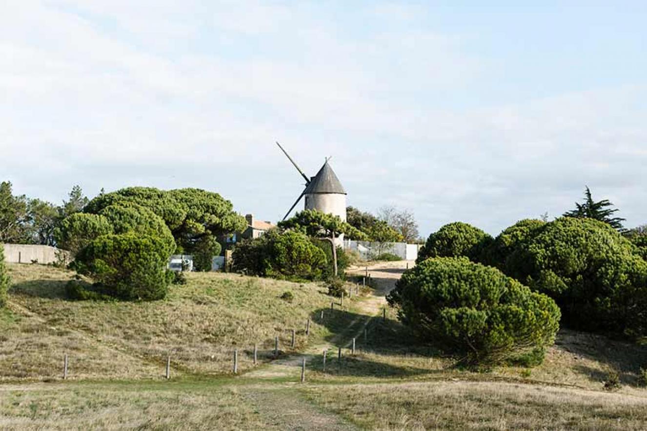 Moulin La Guérinière - Trendz Moulin La Guérinière - Trendz