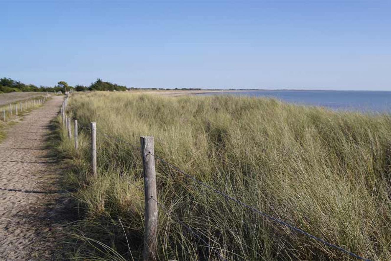 Plage de la Court La Guérinière - Quentin Boulegon Plage de la Court La Guérinière - Quentin Boulegon