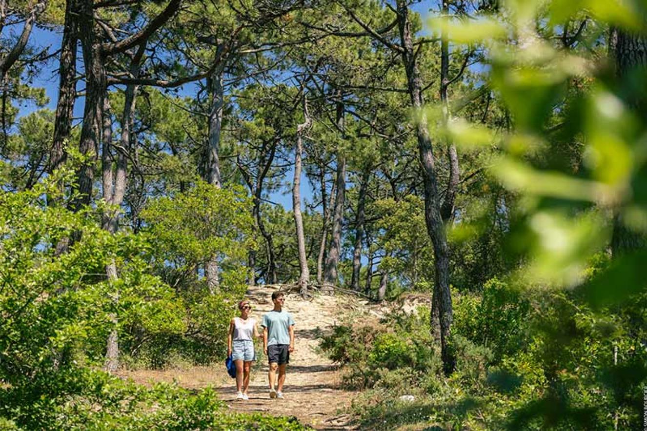 Promenade bois des Eloux ©Office de Tourisme Ile de Noirmoutier - Vendée Expansion - Simon Bourcier Promenade bois des Eloux ©Office de Tourisme Ile de Noirmoutier - Vendée Expansion - Simon Bourcier