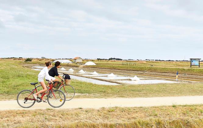 Entre marais et moulins - île de Noirmoutier Entre marais et moulins - île de Noirmoutier