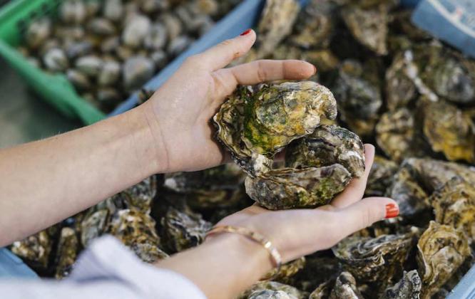 Huîtres île de Noirmoutier ©Trendz Huîtres île de Noirmoutier ©Trendz