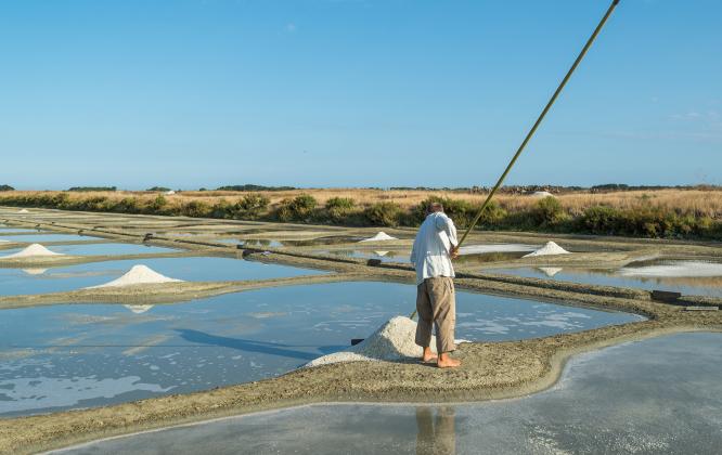Visiter les marais salants de l'île de Noirmoutier - Joncheray Visiter les marais salants de l'île de Noirmoutier - Joncheray