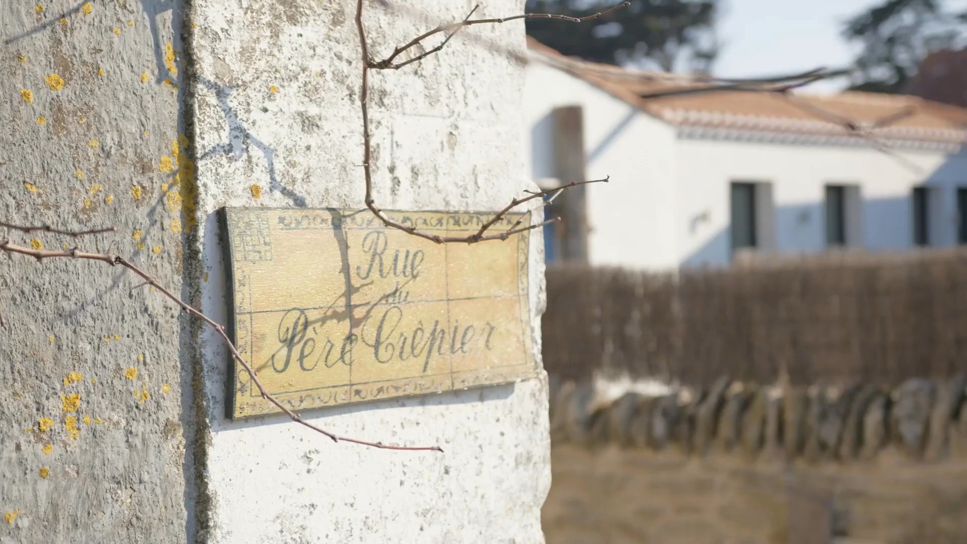 Film hiver 2025/2026